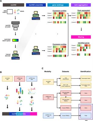 resVAE ensemble: Unsupervised identification of gene sets in multi-modal single-cell sequencing data using deep ensembles